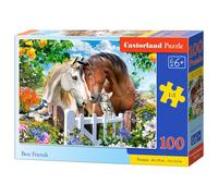 Castorland B-111121 puzzle Jeu de puzzle 100 pièces Animaux