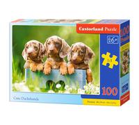 Castorland B-111213 puzzle Jeu de puzzle 100 pièces Animaux