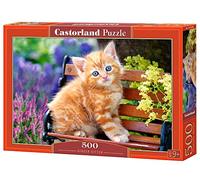 Castorland - B-52240 - Puzzle - Jeune Chat - 500 Pièces
