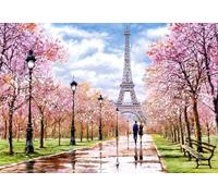 Castorland C-104369-2 Romantique Walk in Paris 1000 Teile Puzzle Paysage, Couleur Variée, CSC104369