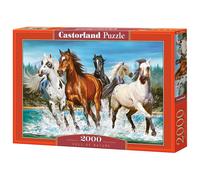 Castorland Call of Nature 2000 pcs Jeu de puzzle 2000 pièces Animaux