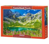 CASTORLAND Castorland C-105267-2 Puzzle 1000 pièces Zelene Pleso Tatras Slovaquie Paysage montagnard nature pour adultes