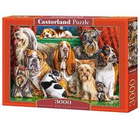 CASTORLAND Castorland C-300501-2 Puzzle de 3000 pièces pour Les Amoureux des Chiens, Nombreuses Races de Chiens, Puzzle pour Adultes, Castorland C-300501-2