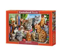Castorland Puzzle Maison des Chats – Animaux – 2000 pièces multicolore – Enfants et adultes
