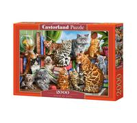 Castorland Classics Puzzle 2000 pièces de qualité supérieure, à partir de 9 ans