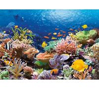 Castorland Coral Reef Fishes Puzzle 1000 Teile C-101511-2