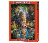 Castorland Puzzle CSC151707 Divers