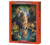 Castorland CSC151707 Puzzle Divers