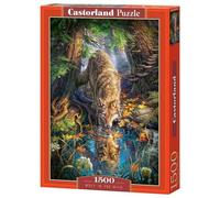 Castorland CSC151707 Puzzle Divers