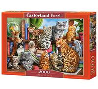 Castorland CSC200726 Puzzle Divers
