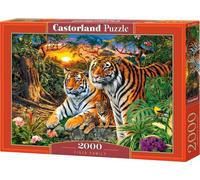 CASTORLAND Famille de tigres Puzzle 2000 pièces