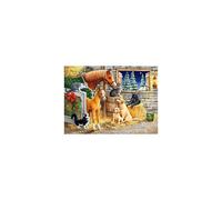 Castorland Gathering Friends, puzzle 300 pièces
