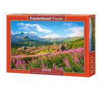 Castorland Hala G¿sienicowa, Tatras, Poland 1000 pcs Jeu de puzzle 1000 pièces Paysage