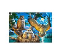CASTORLAND Hibou Puzzle familial 500 pièces