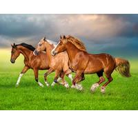 Castorland Horses in Spring Rush - Pièces