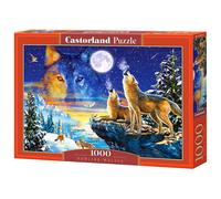 Castorland Howling wolves 1000 pcs Jeu de puzzle 1000 pièces Faune
