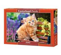 Castorland Jigsaw Ginger kitten 500 pièces Multicolore G
