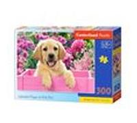 Castorland Jigsaw Labrador chiot en boîte rose 300 pièces Multicolore G