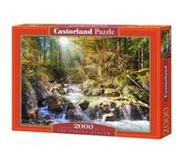 Castorland Jigsaw The Forest Stream 2000 pièces multicolore G