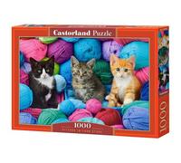 Castorland Kittens in Yarn Store Jeu de puzzle 1000 pièces Animaux