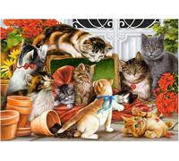 Castorland- Puzzle, CSC151639, Coloris Assortis
