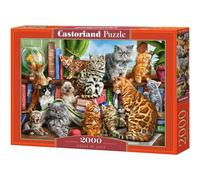 Castorland CSC200726 Puzzle Divers