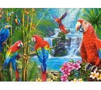 CASTORLAND Parrot Encounter Puzzle 2000 pièces