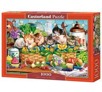 Castorland Puzzle 1000 chatons endormis CASTOR 5904438105069