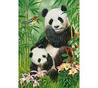 Castorland Puzzle 1000 pièces : Brunch de Pandas