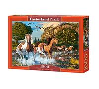 Castorland Puzzle 1000 pièces : Chevaux au Pays des Merveilles