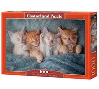 Castorland Puzzle 1000 pièces : Les Chatons Les Plus Doux