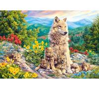 Castorland Puzzle 1000 pièces - Nouvelle génération