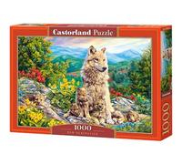 Castorland Puzzle 1000T Neue Generation
