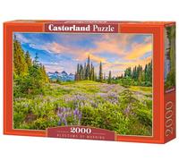 Castorland Puzzle 2000 pièces : Fleurs du Matin