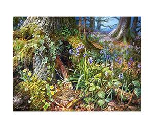 Castorland Puzzle 2000 pièces - from Rusland Woods