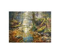 Castorland Puzzle 2000 Souvenirs d'une forêt d'automne CASTOR 5904438200757