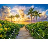 CASTORLAND Puzzle 3000 pièces Colorful Sunrise in Miami, USA - Sunrise in Miami 92x68cm