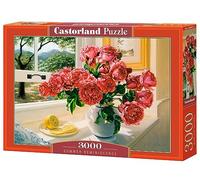 Puzzle 3000 pièces - Castorland - Réminiscence d'été - Paysage et nature - Adulte - Coloris Unique