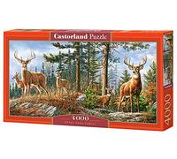 Castorland Puzzle 4000 pièces : Famille Cerf Royal