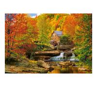 CASTORLAND Puzzle Automne enchanteur 1000 pièces