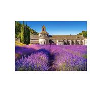 Castorland- Lavender Field in Provence,France,Puzzle 1000 Teile 104284-2, coloré