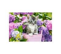 CASTORLAND Puzzle Chat dans un panier 1500 pièces