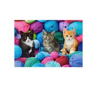 CASTORLAND Puzzle Chaton dans le magasin de fil 1000 pièces