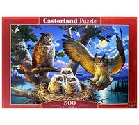 Castorland Puzzle CSB53322 Owl Family – 500 pièces – multicolore