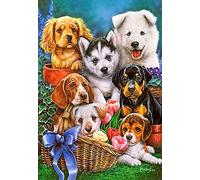 Castorland- Puzzle, CSC104048, Coloris Assortis