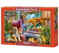 Castorland Puzzle CSC300556 - Divers
