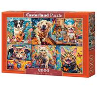 CASTORLAND Puzzle de 2000 pièces, Choisissez Votre Animal de Compagnie, Puzzle Animal, Puzzle Adulte, Castorland