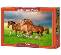 CASTORLAND Puzzle de 500 pièces, Chevaux au Printemps, Puzzles Animaux, Puissance et beauté en Mouvement, Puzzle Adulte, B-54084