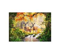 CASTORLAND Puzzle Famille royale 1000 pièces