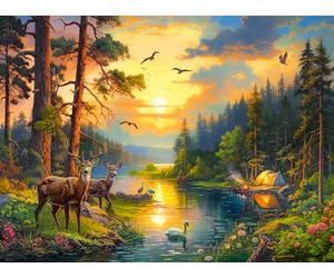 Castorland Puzzle Forest River Coucher de soleil - Puzzle 3000 pièces